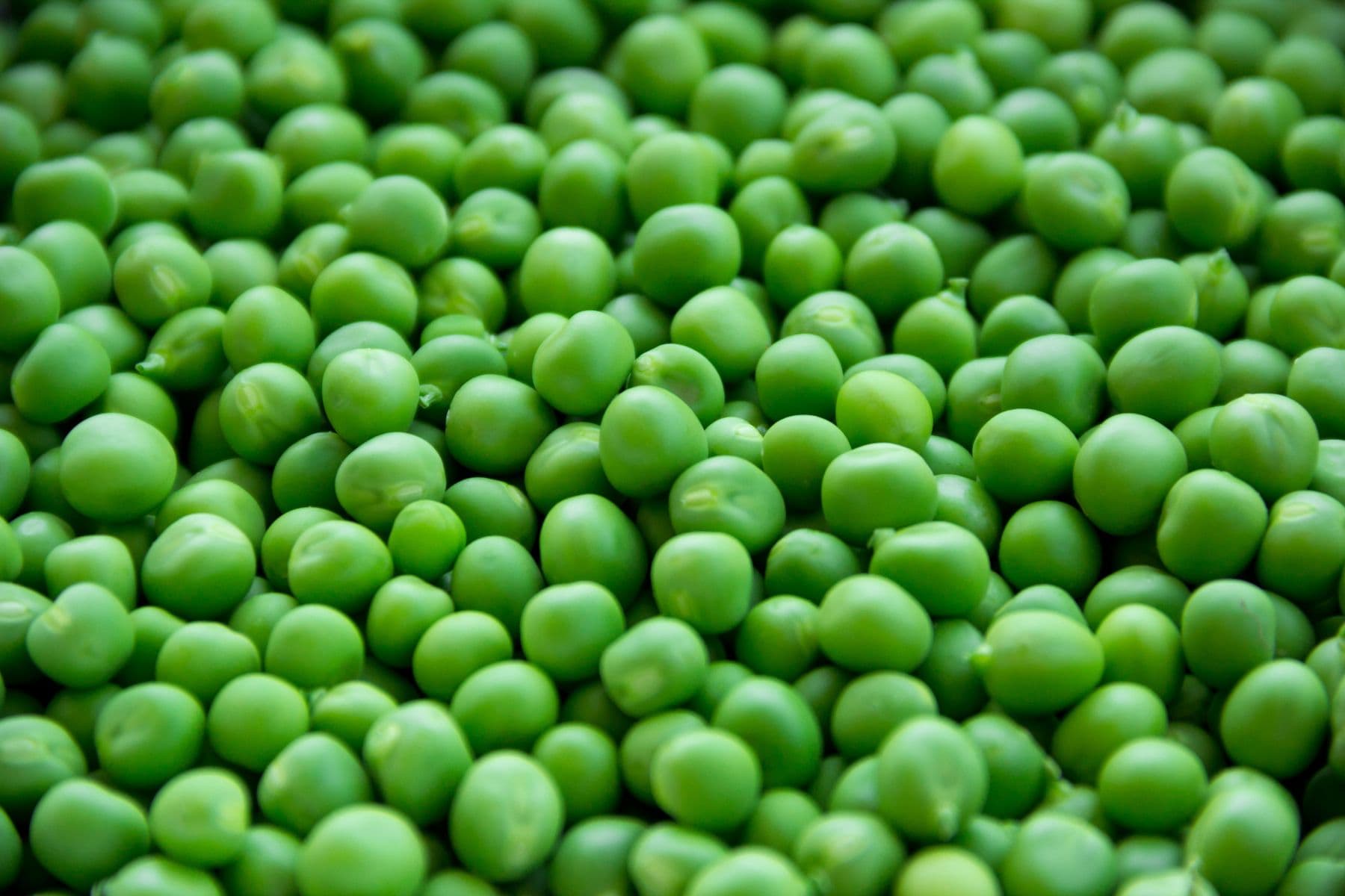 Smashed peas on ricotta toast