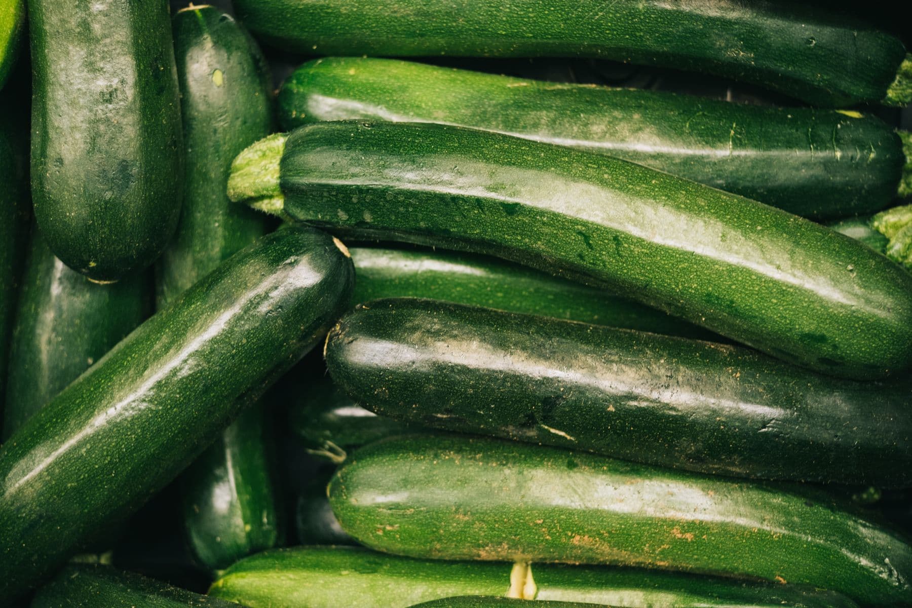 Zucchini fritters for the glut